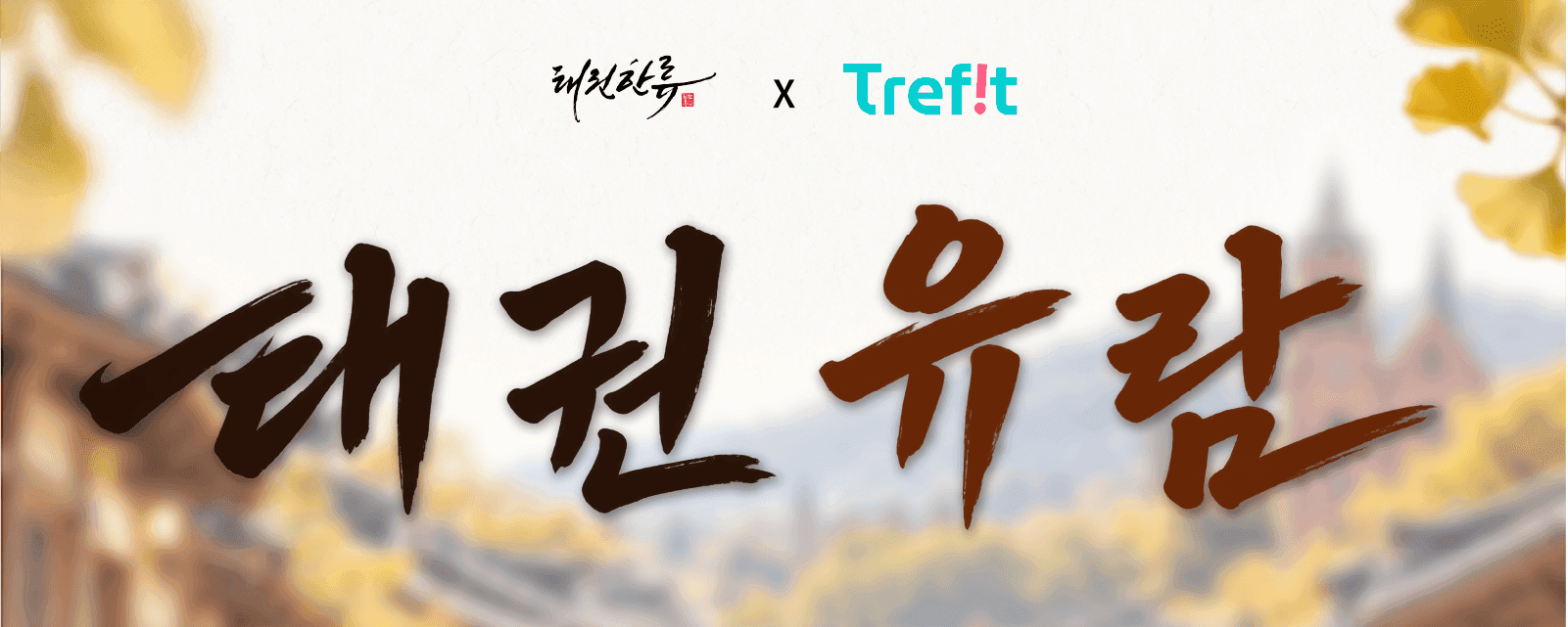 태권한류와 함께 떠나는 태권유람