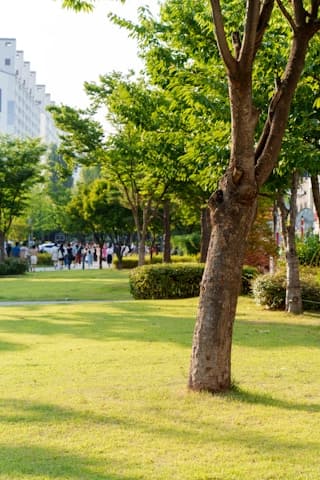 사천진 보드숍